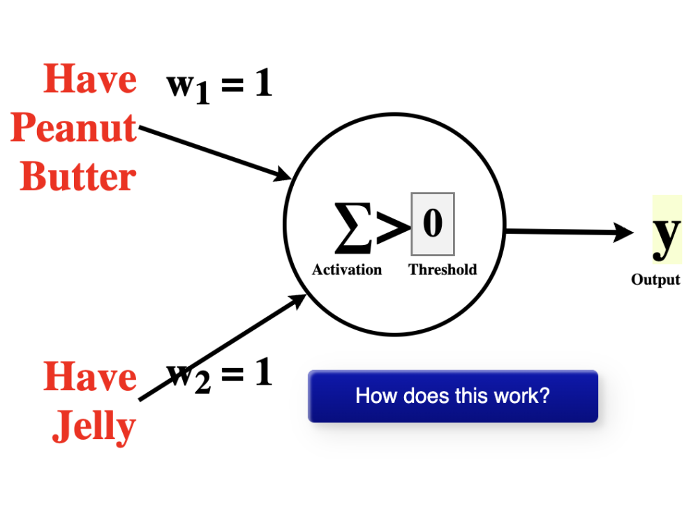 Neuron Sandbox